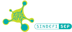 SINDEFI.png