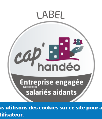 Screenshot_2020-04-08 KLESIA et Handéo dévoilent le Label Cap’Handéo “Entreprise...