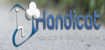 Screenshot_2020-12-08 Handicat.png