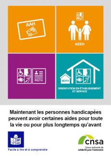 fiche handicap.jpg